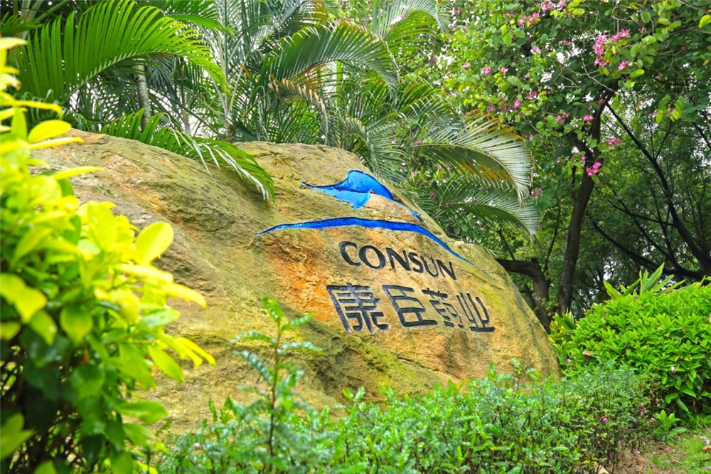 久久人妻少妇嫩草AV