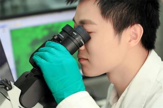 久久人妻少妇嫩草AV