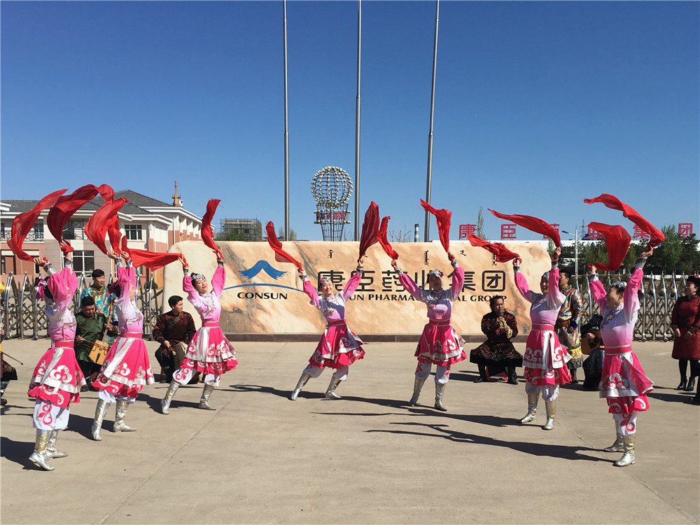 久久人妻少妇嫩草AV