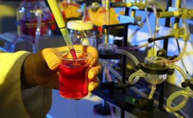 久久人妻少妇嫩草AV