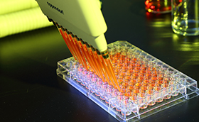 久久人妻少妇嫩草AV