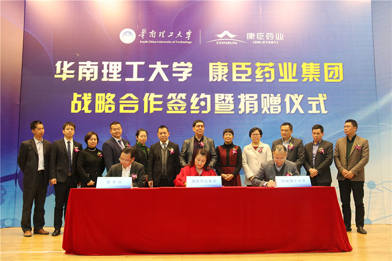 久久人妻少妇嫩草AV