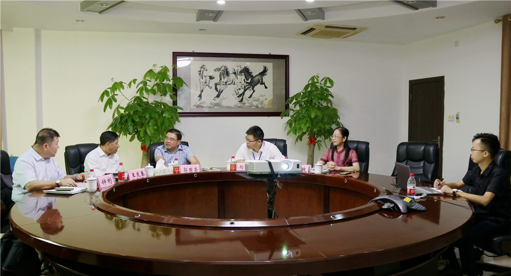 久久人妻少妇嫩草AV