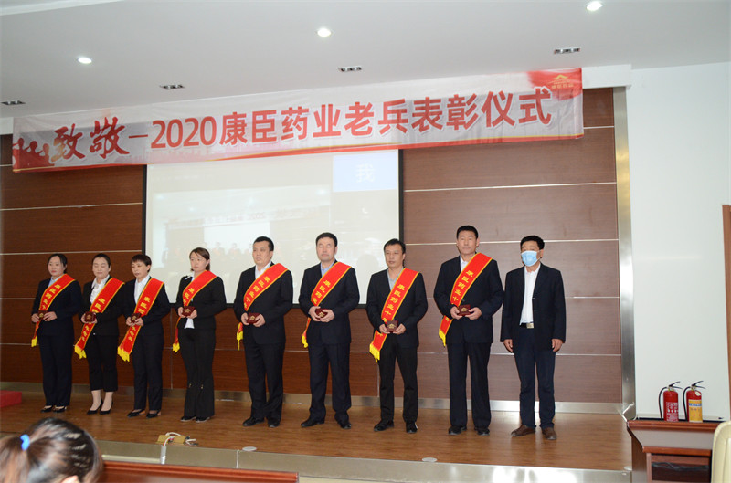 久久人妻少妇嫩草AV