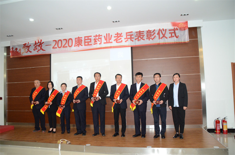 久久人妻少妇嫩草AV