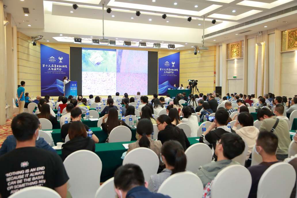 久久人妻少妇嫩草AV