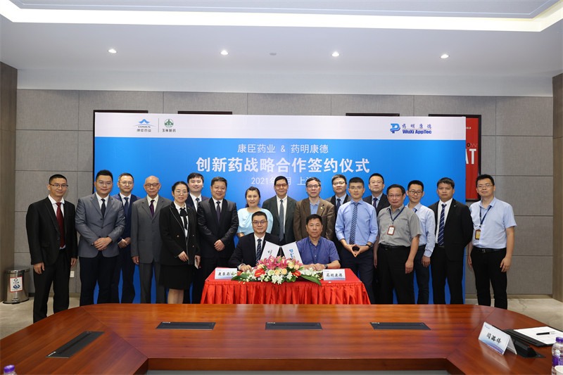 久久人妻少妇嫩草AV