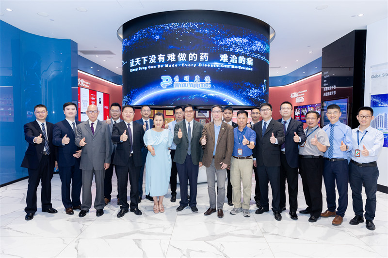 久久人妻少妇嫩草AV