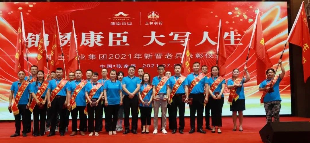 久久人妻少妇嫩草AV