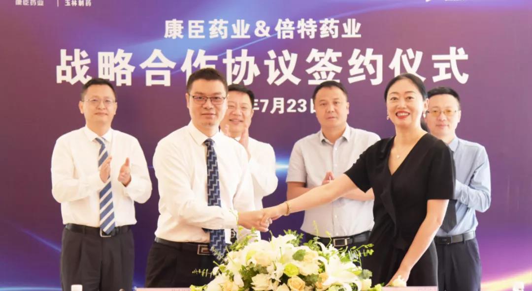 久久人妻少妇嫩草AV