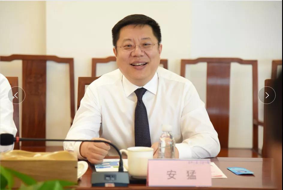 久久人妻少妇嫩草AV