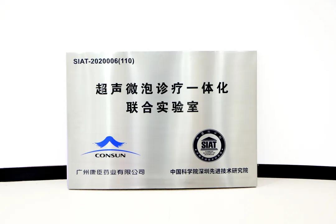 久久人妻少妇嫩草AV