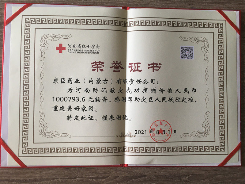 久久人妻少妇嫩草AV