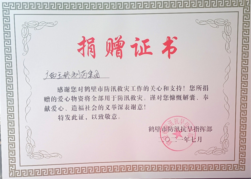 久久人妻少妇嫩草AV