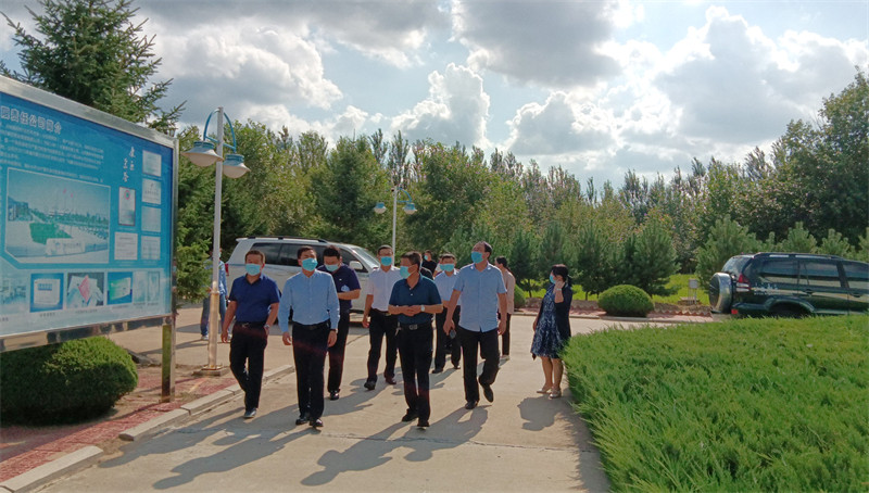 久久人妻少妇嫩草AV