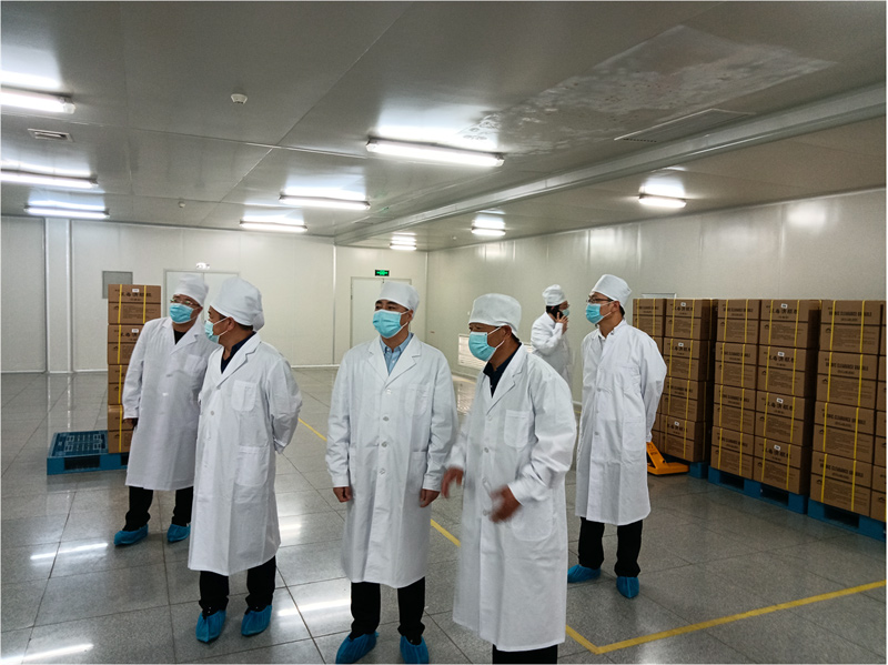 久久人妻少妇嫩草AV