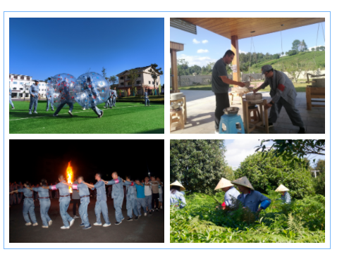 久久人妻少妇嫩草AV