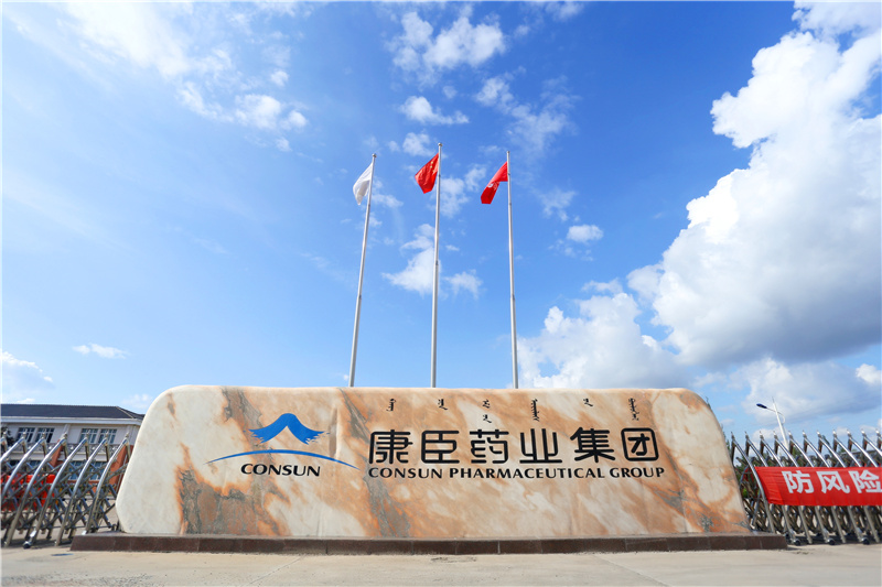 久久人妻少妇嫩草AV