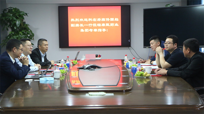 久久人妻少妇嫩草AV