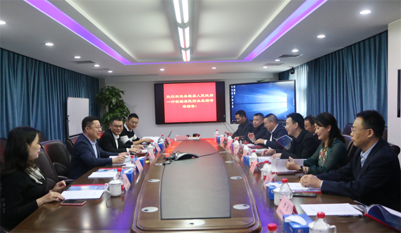 久久人妻少妇嫩草AV