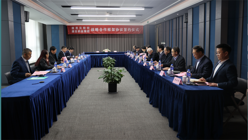 久久人妻少妇嫩草AV