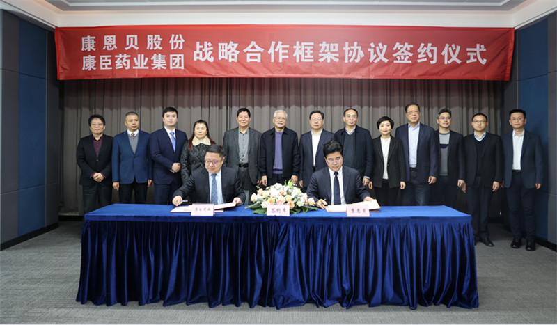 久久人妻少妇嫩草AV