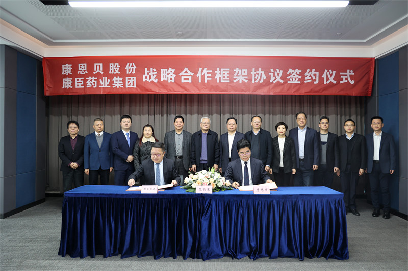 久久人妻少妇嫩草AV