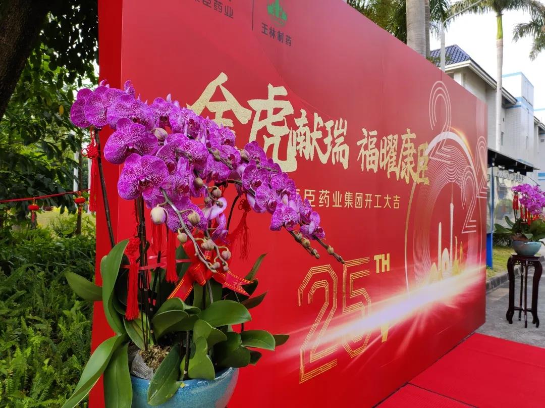 久久人妻少妇嫩草AV