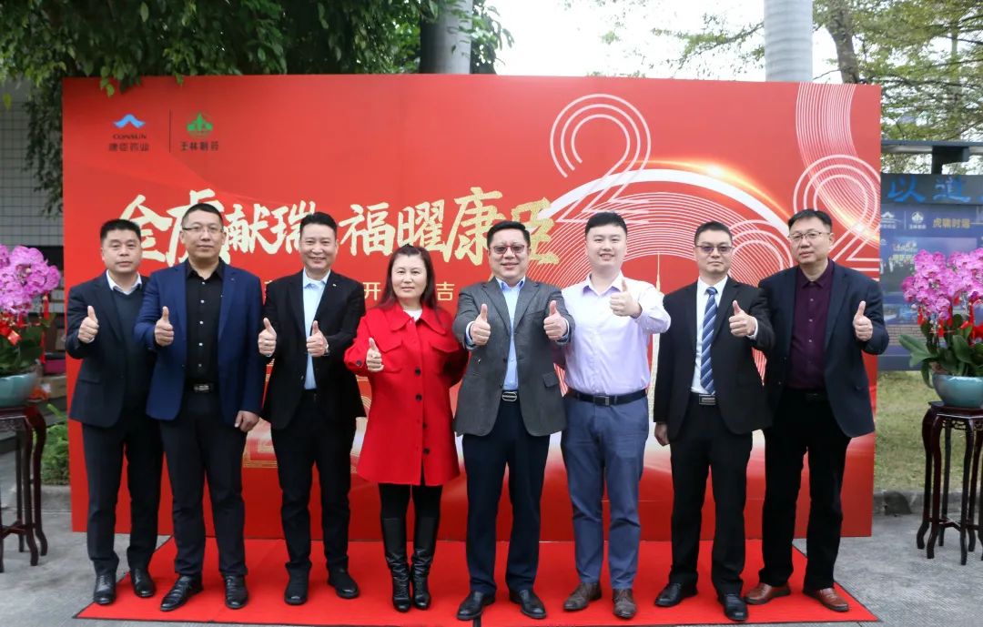 久久人妻少妇嫩草AV