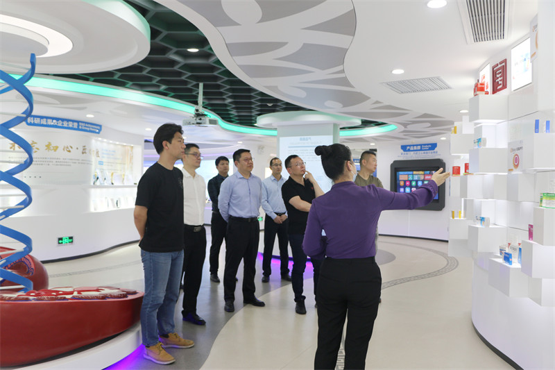 久久人妻少妇嫩草AV