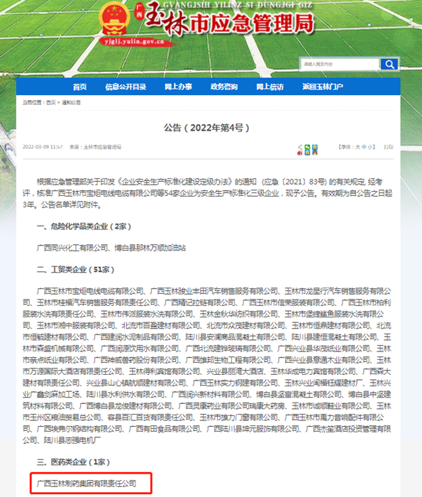 久久人妻少妇嫩草AV