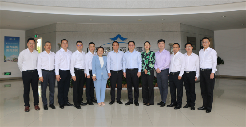 久久人妻少妇嫩草AV