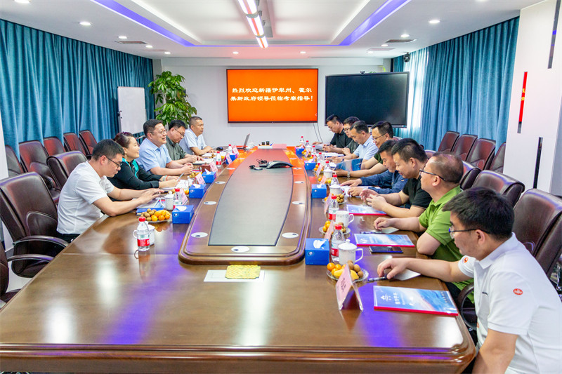 久久人妻少妇嫩草AV