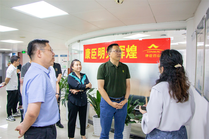 久久人妻少妇嫩草AV