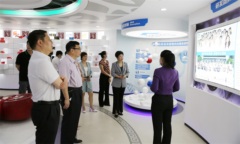 久久人妻少妇嫩草AV