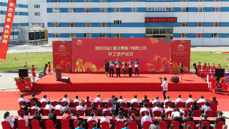 久久人妻少妇嫩草AV