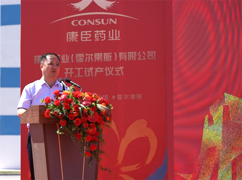 久久人妻少妇嫩草AV