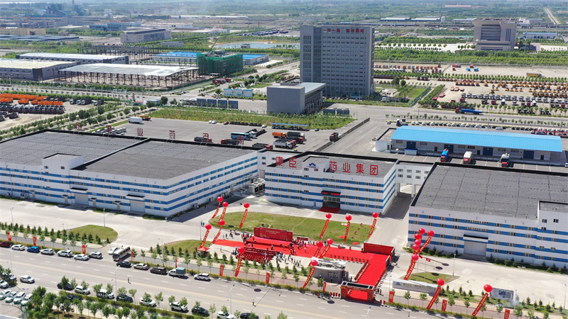 久久人妻少妇嫩草AV