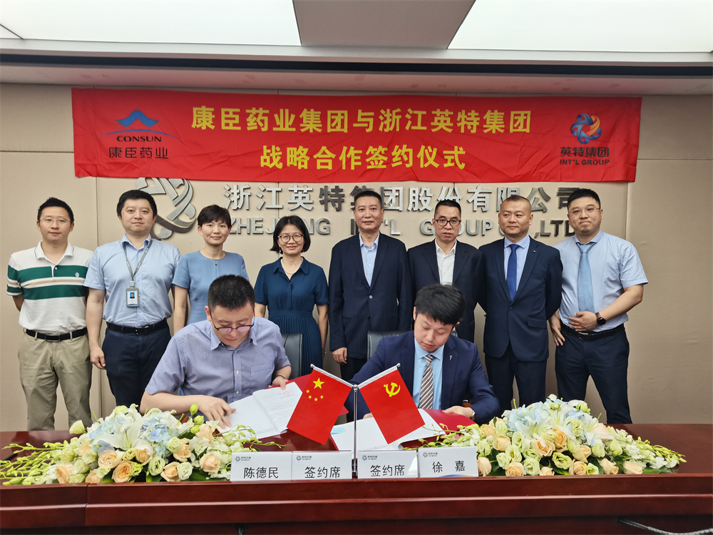 久久人妻少妇嫩草AV