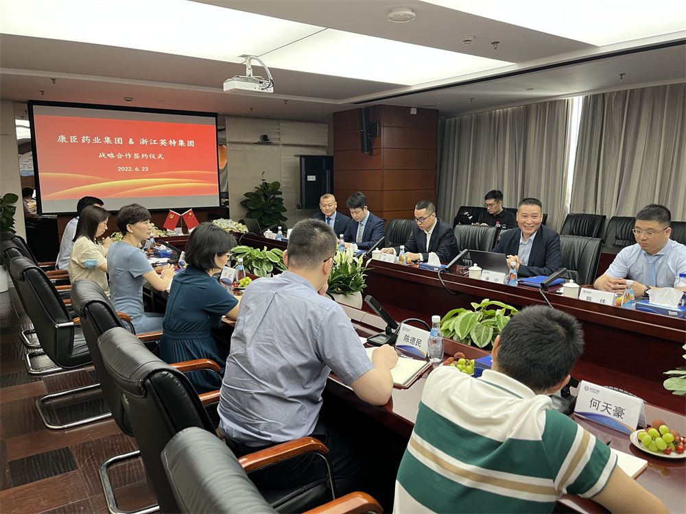 久久人妻少妇嫩草AV