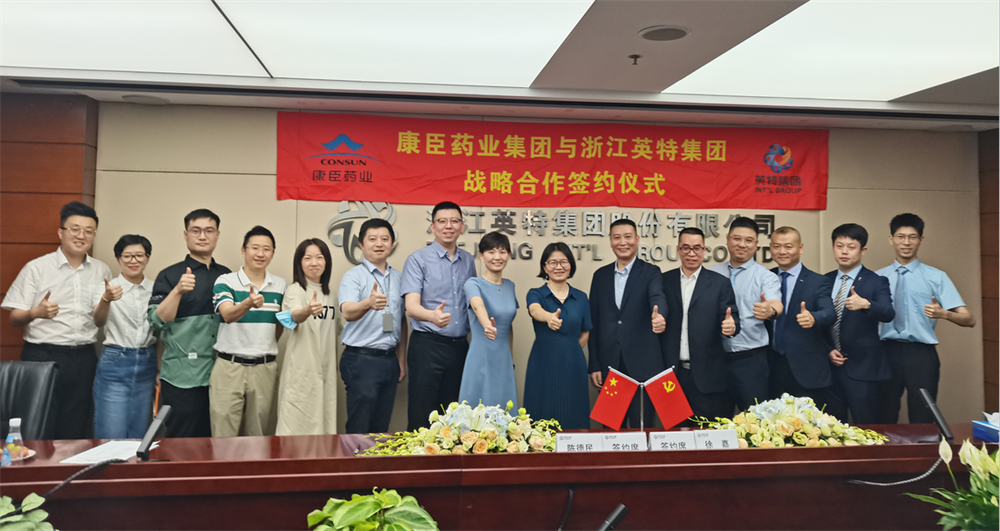 久久人妻少妇嫩草AV