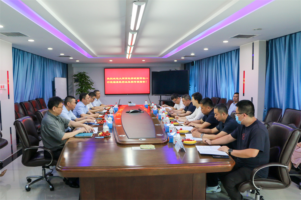 久久人妻少妇嫩草AV