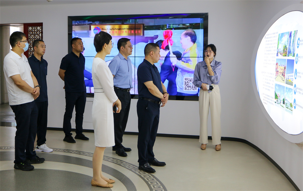 久久人妻少妇嫩草AV