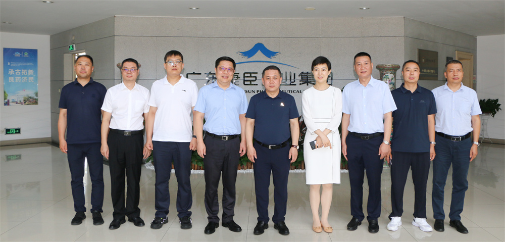 久久人妻少妇嫩草AV