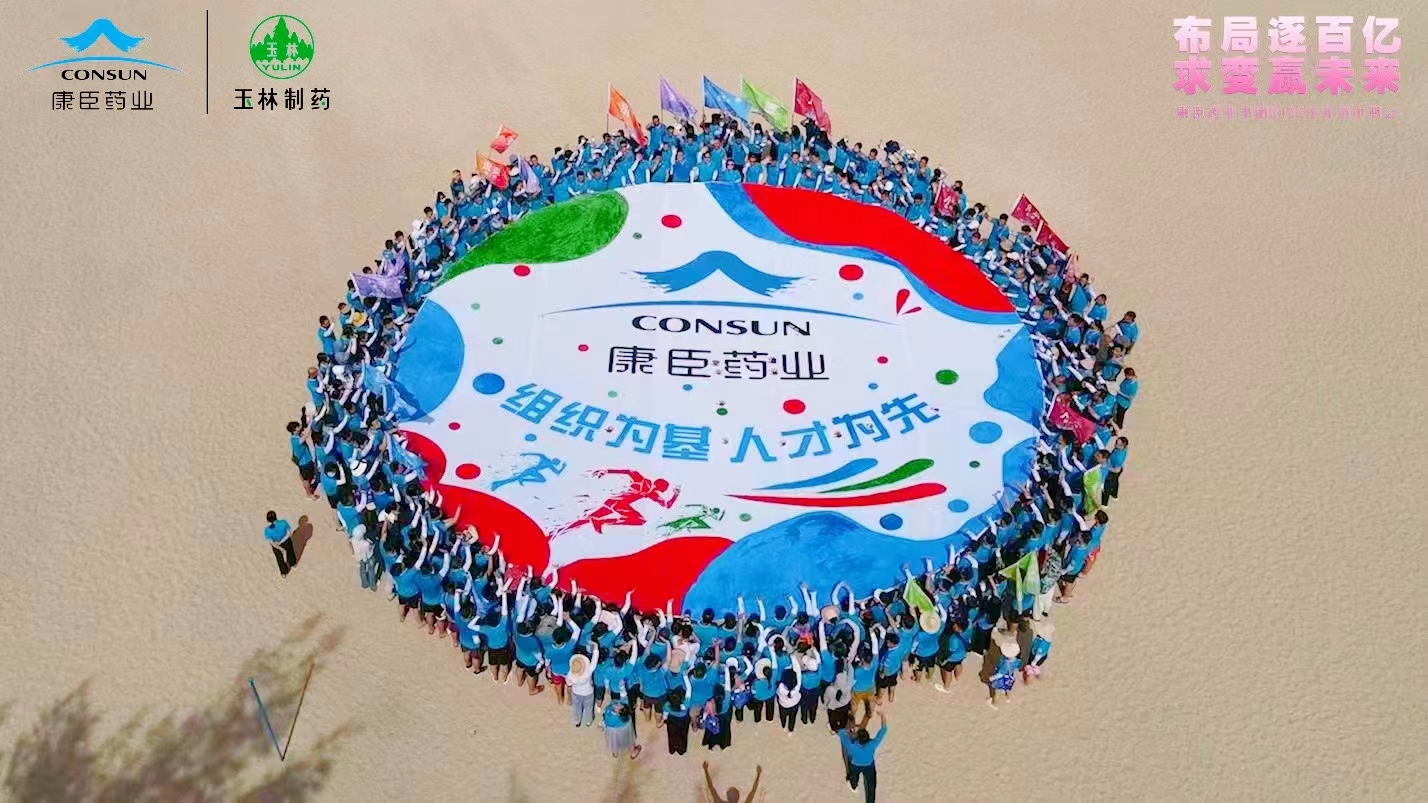 久久人妻少妇嫩草AV