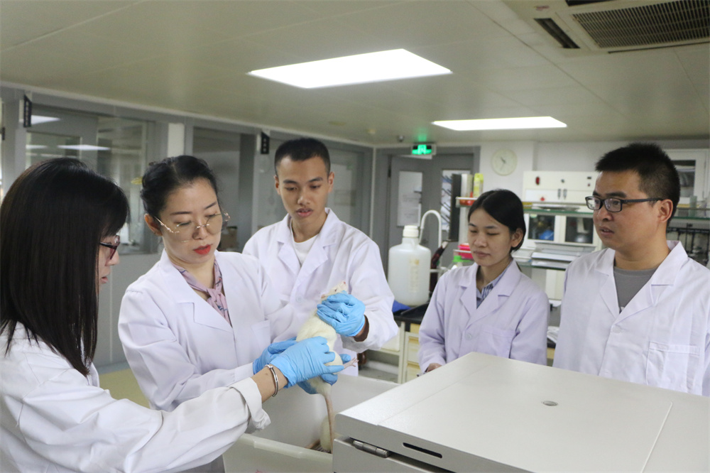 久久人妻少妇嫩草AV