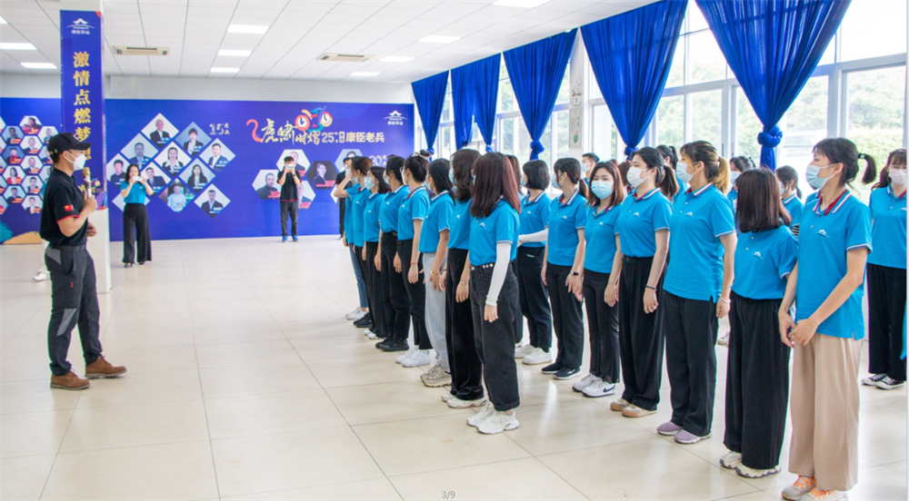 久久人妻少妇嫩草AV