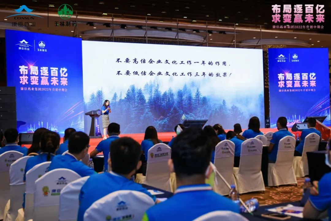 久久人妻少妇嫩草AV