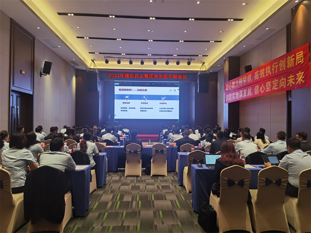 久久人妻少妇嫩草AV