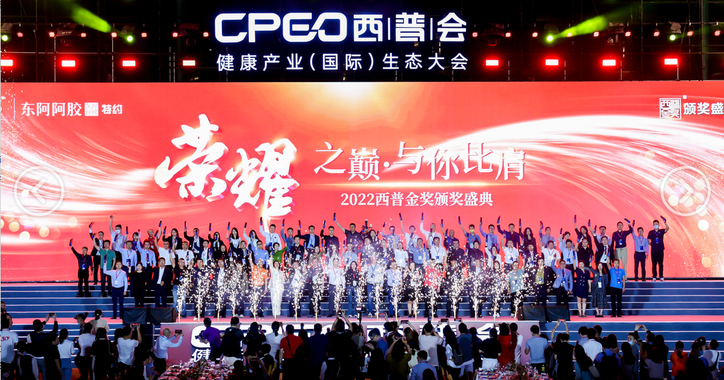 久久人妻少妇嫩草AV